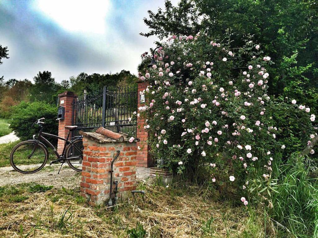 Fienile Da Primo Villa San Giovanni Valdarno Dış mekan fotoğraf